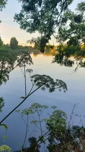 Annelies 07 Doorkijkje in Flevopark